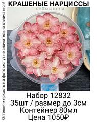 2c5e42fb86204440a0e5da23237c5859