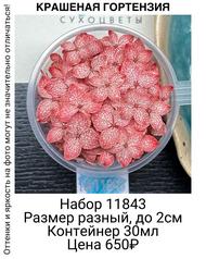 2c72dc13985b4225be7b88953f73d1b9