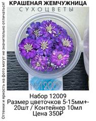 3038a6ae402d40f19722fe5ea97e8c03