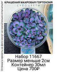 33a2ff7d437747cca4f759a1b35cc28f