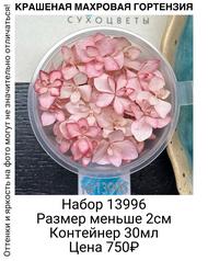 36d49003f9f7472cb06018d1466a5258