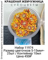 43e7ab721c1f4694999b82f07817bb51