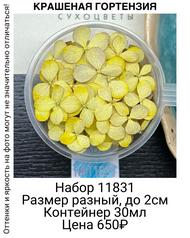 4790f7bc1f174c7d87c2df055c7f500a