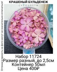 48308edcbe03470bab09af11d53eb102