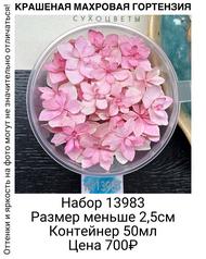 4a8109faad55468c8c3284bdbc99fcd5