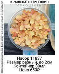 4c7da5ee15a34b2db949d0f0c0fc0b07