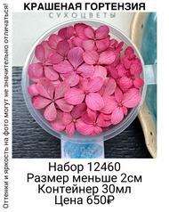 4e88c06fc1bf42e68fd110cd4266761c