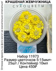 5395d5c12293417b9fefc420109e9d00