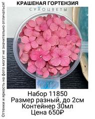 57e405e1a7f44b718364f32b617c6e7c