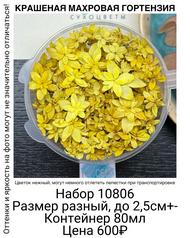 597a973a398948f29a12a2362dc12e17