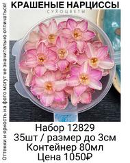 5aea3520873d4caf955582f8ca6d56df