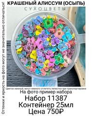 630adca7927149958aa75560a1701325