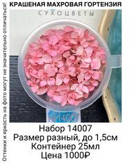 66ced6dacbab4e4d8e46585e87e6a0e7