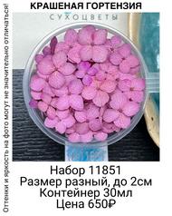 6f42cc48df4548a4a253dae0c787eb68