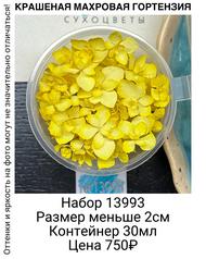 6ff05d2162f14175adb124b13750105c
