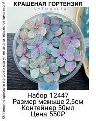 72200e4e2cd646ddb228dd3f1c45d400