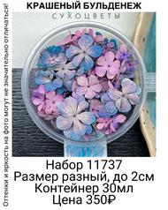 80b41a5df7ef4815be41ba49a84699d4