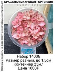 861fe64ae3964c899f77ebd157e1c215