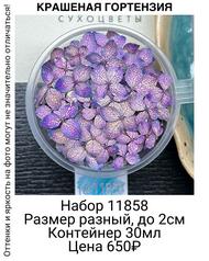 8eae9ded49804f5e89208183d800d8d5