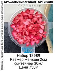 8f26c39cf5154eea9f3cab1089488ef2
