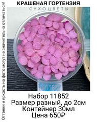 98c1c485bdf24df3bcd63b5d955c51b3