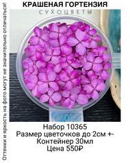 9a5e25895e934cee929f6eb9be99a606