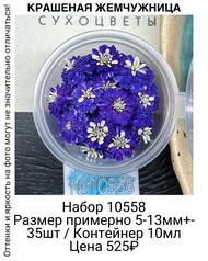 9a894e8058524947ac426e5cba6cc32f
