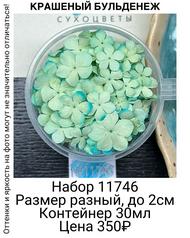 a569024533f24b939f2d45e82e013bfa