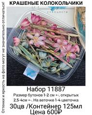 a7cd0105c34942ecaaece168020399d7