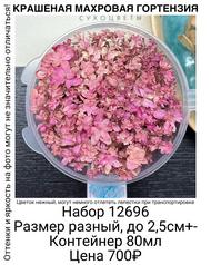 aa2099404f174095956541d856dc3721