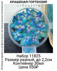 b5a36b98b5a04324a0c70f57cdf2b019