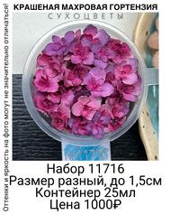 b62a0c12788647469ac38423e9effe47