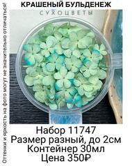 b74a7eda64b447adb9433c86914b0475