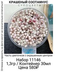 b8ed4b63045d48619da5a69620532194