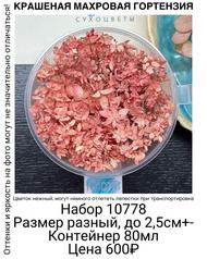 bb0dd70080204f3ebb599a25e8b4ace8