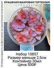 be1dcb7c2e2e4ad08232e55ad02e801c