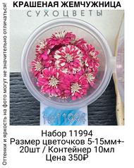 c593ca2b56bd4ac18580bdcd69566b95