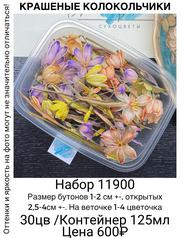 c61e2fce724342739764a9a103a15e37