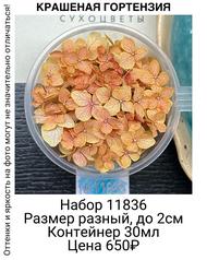 c8dda88615df4dfb861ef31073161f5d