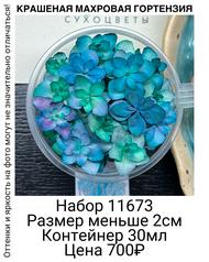 ca53a2f0907b48ab8da50e4d54031447