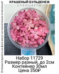 cd962a15e90345e391da59ae00fe0e22