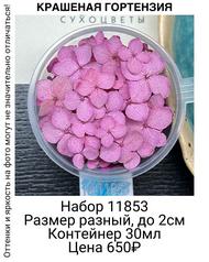 ceae0b52aff1401cb3bacdbcb58fd76e