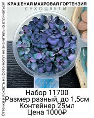 d29d2341376d4428baadbb4132e2e258