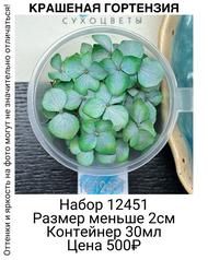 ea8822e336f941a199a2ef0d78e98075