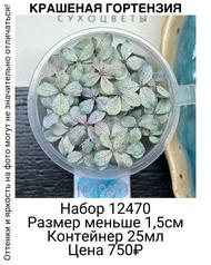 ef0c7516e704431da2de372ab180b94d