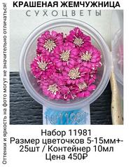 f2804e9652c84066b7df555d03839746