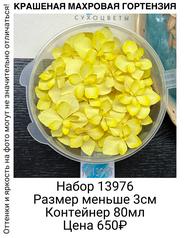 f438a4f8563d4857bb50a0bb00d63932