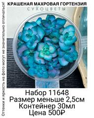 f62141ab2662412d9f5acba8c1577047