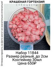 fff560c24b7845d9b312b6904ee778fe