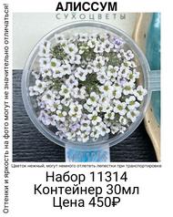 01cbdfcd796e48f68bd0e0be49f3ef42